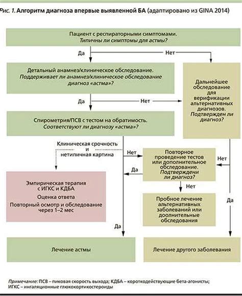 Основные принципы лечения астмы