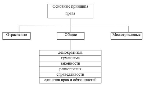 Основные принципы работы ФБО и ФБС