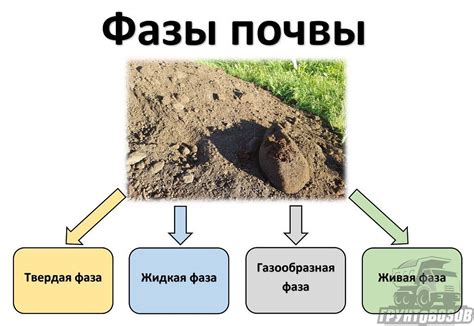 Основные причины переувлажнения почвы в осенний период