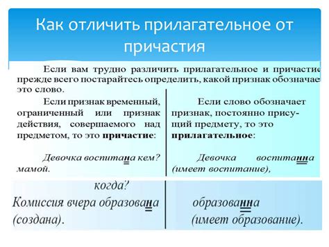 Основные различия между прилагательным в функции сказуемого и определения