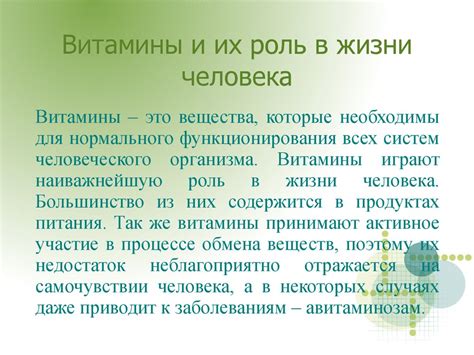 Основные составляющие батарейки и их роль в процессе преобразования энергии