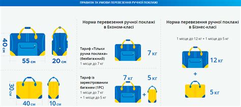 Основные требования к багажу с спреями