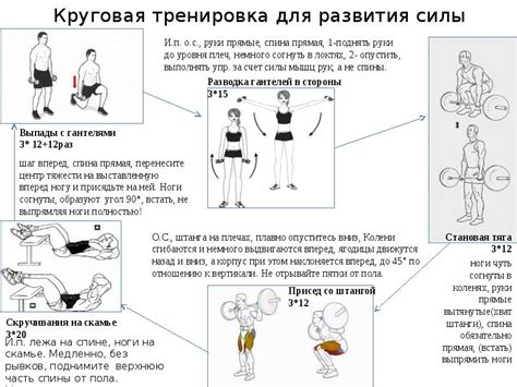 Основные упражнения для развития силы и выносливости