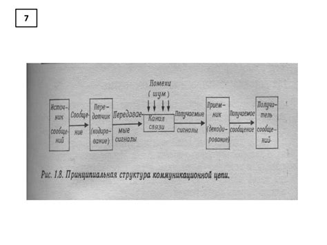 Основные факторы влияющие на размножение туй