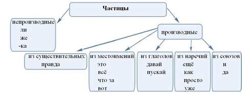 Основные функции частиц