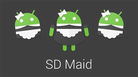 Основные функции Sd maid pro