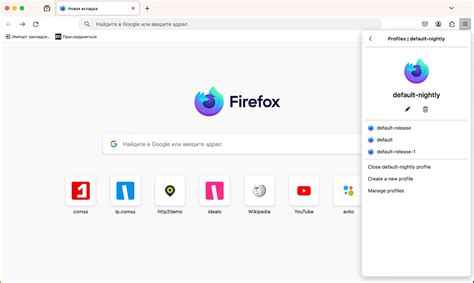 Основные функциональные возможности браузера Mozilla Firefox