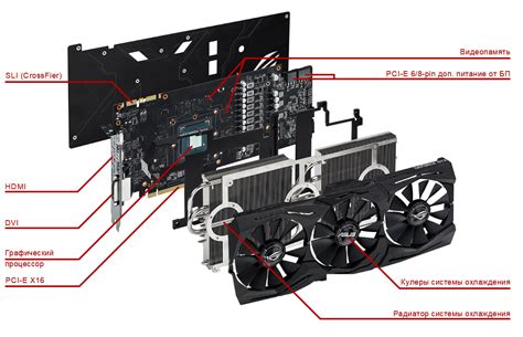 Основные характеристики видеокарты GTX 1650