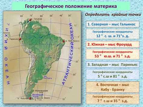 Основные шаги по рисованию животных Южной Америки