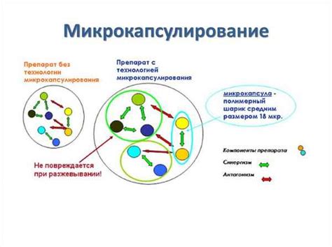 Основы действия: механизм влияния афобазола на организм