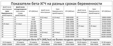 Основы расчета декретных выплат