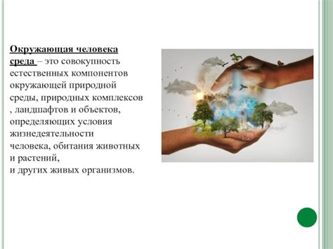 Особенности внешней среды: влияет ли окружающая среда на возможность лазания?