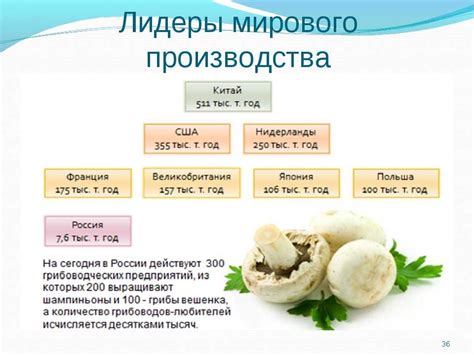 Особенности и химический состав грибов, произрастающих на орехах