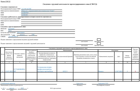 Особенности отмены увольнения в СЗВ ТД