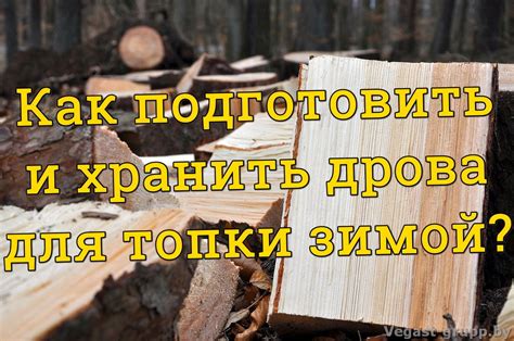 Особенности подготовки и хранения кленовых дров для топки в печи