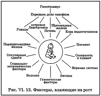 Особенности работы организма детей и их влияние на развитие