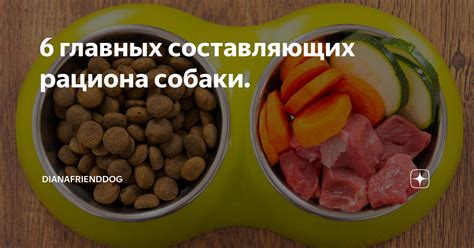 Особенности рациона собаки