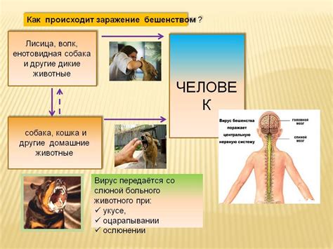 Осторожность при физическом контакте: