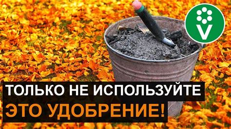 Осуществление удобрения осенью