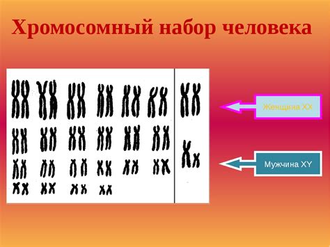 Отклонения от стандартного набора хромосом