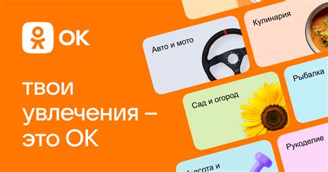 Откройте для себя новые увлечения и развлечения