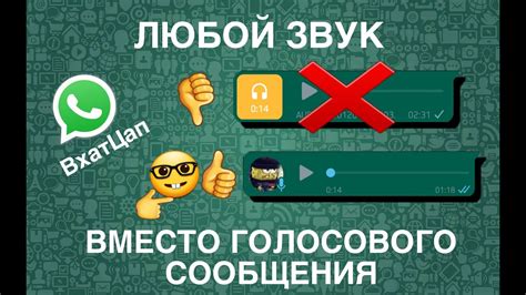 Отправка сообщения Егору Шипу в WhatsApp