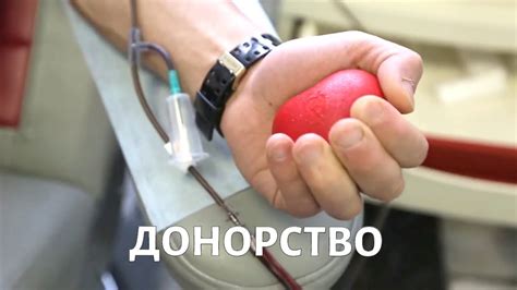 Отрицательные последствия: какой риск для донора и пациента?