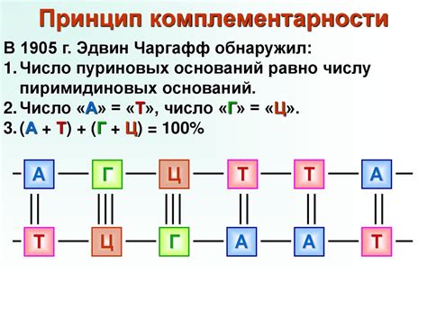 Отсутствие комплементарности