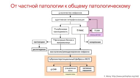 От патологического состояния к патологическому процессу: возможен ли переход?