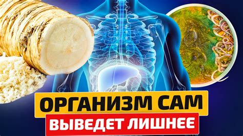 Очистка организма от меди дома: эффективные способы