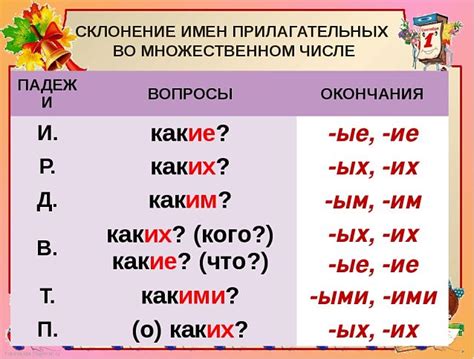 Падежи и склонение прилагательных во множественном числе