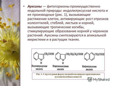 Паразиты, активирующие рост эозинофилов