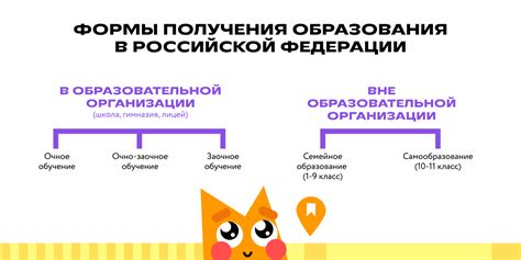 Перевод на заочное обучение: факторы выбора и подготовка