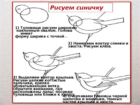 Перейдите к прорисовке крыльев и хвоста