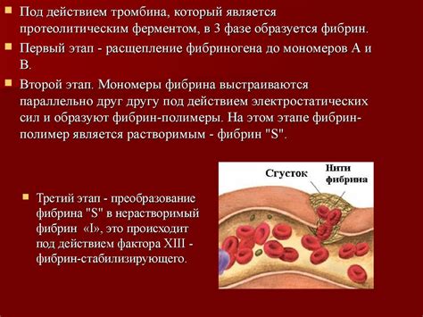 Переливание крови и его влияние на организм