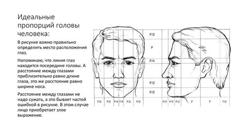 Переходим к деталям: создание пропорций и особенностей головы