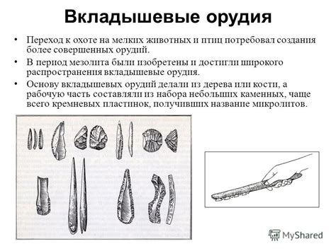 Переход к охоте и сбору