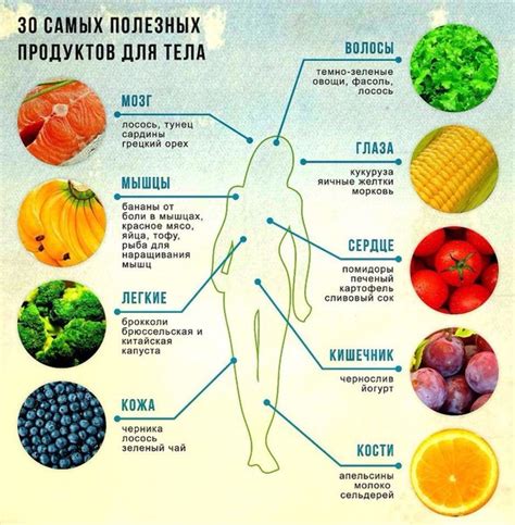 Перечень полезных продуктов