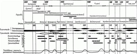 Периодичность и длительность