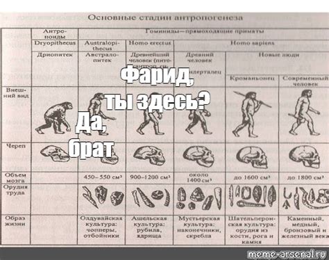 Перспективы будущей эволюции