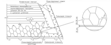 Перспективы заболевания мхом мягкой кровли