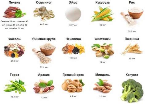 Питание для увеличения эумеланина: продукты, которые стоит употреблять