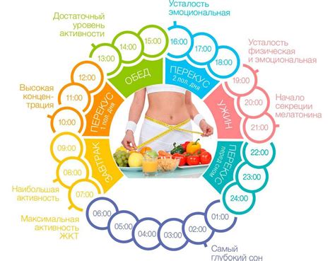 Питание и режим питания для повышения жировой прослойки на лице