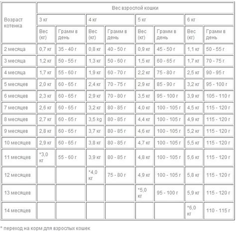 Питание котенка: правила и режим