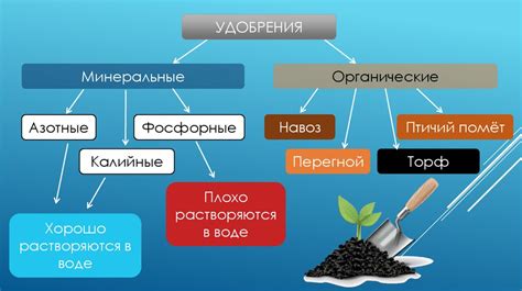 Питание почвы и дополнительное укрытие