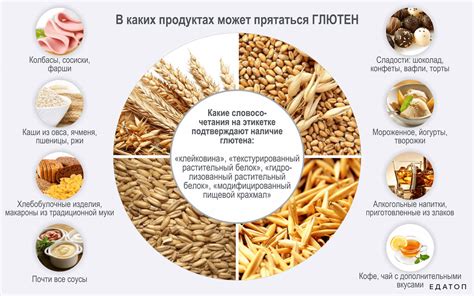 Питание ребенка: все, что нужно знать