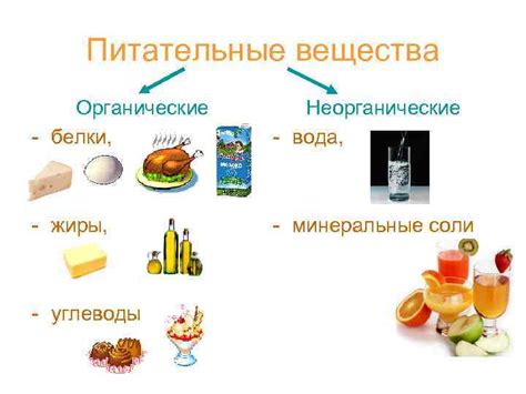 Питательные вещества и вкус бананов