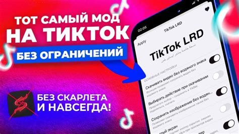 Плагин ТикТок: инструкция настройки