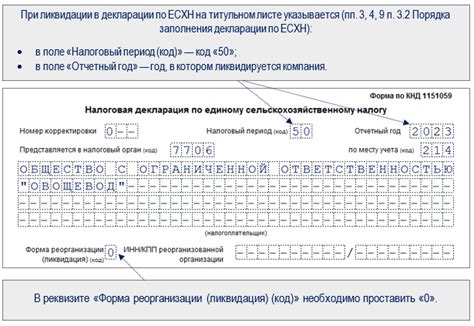 Плательщик ЕСХН: основная информация