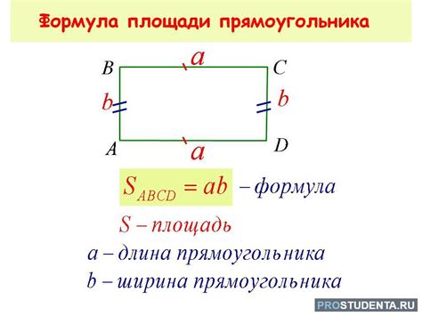 Площадь прямоугольника: основная формула